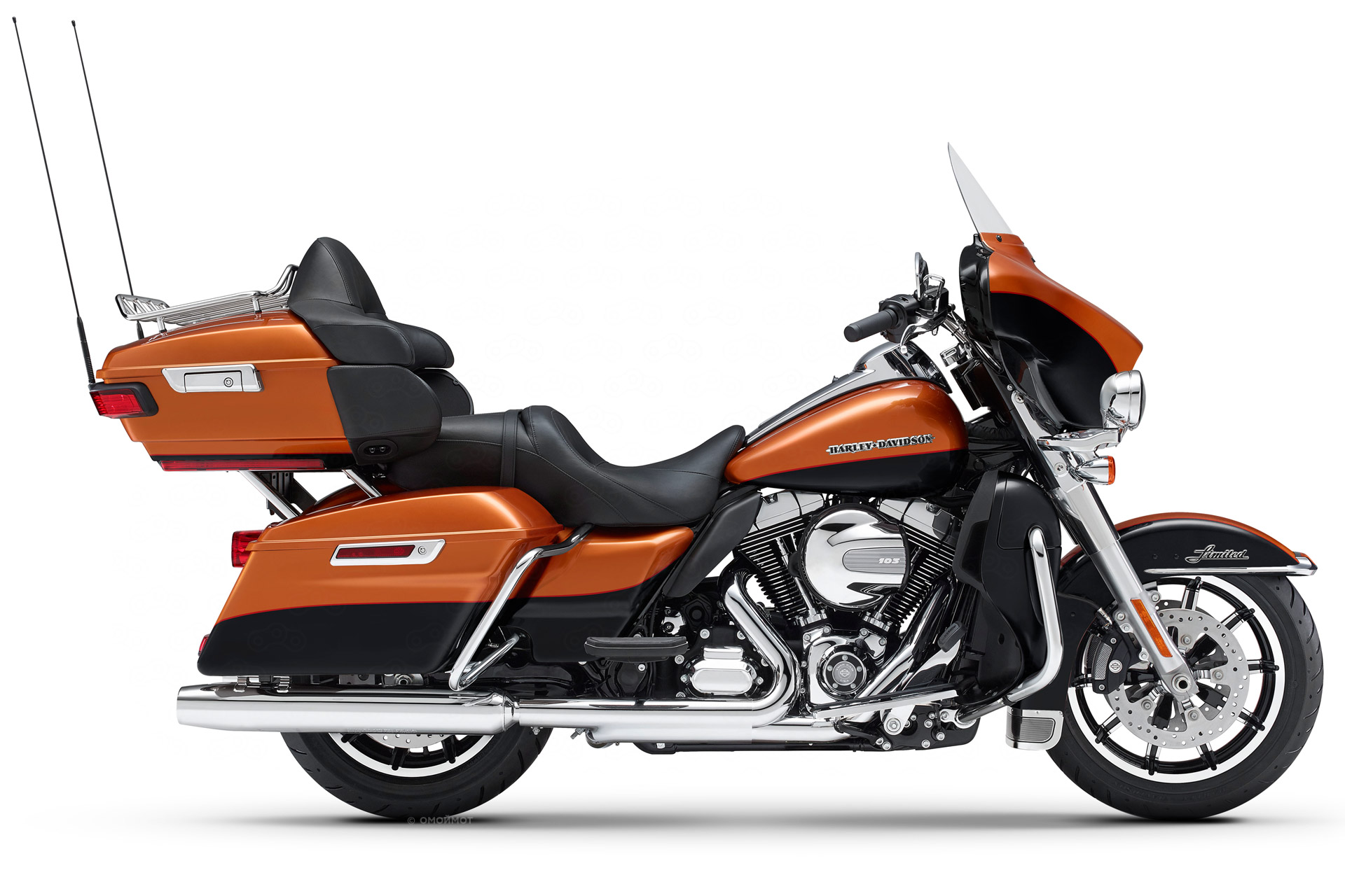 CVO Limited
