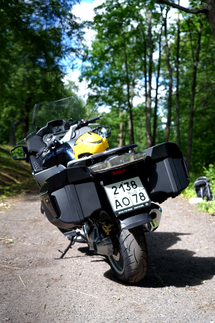 Она красива, благородна и собрана.