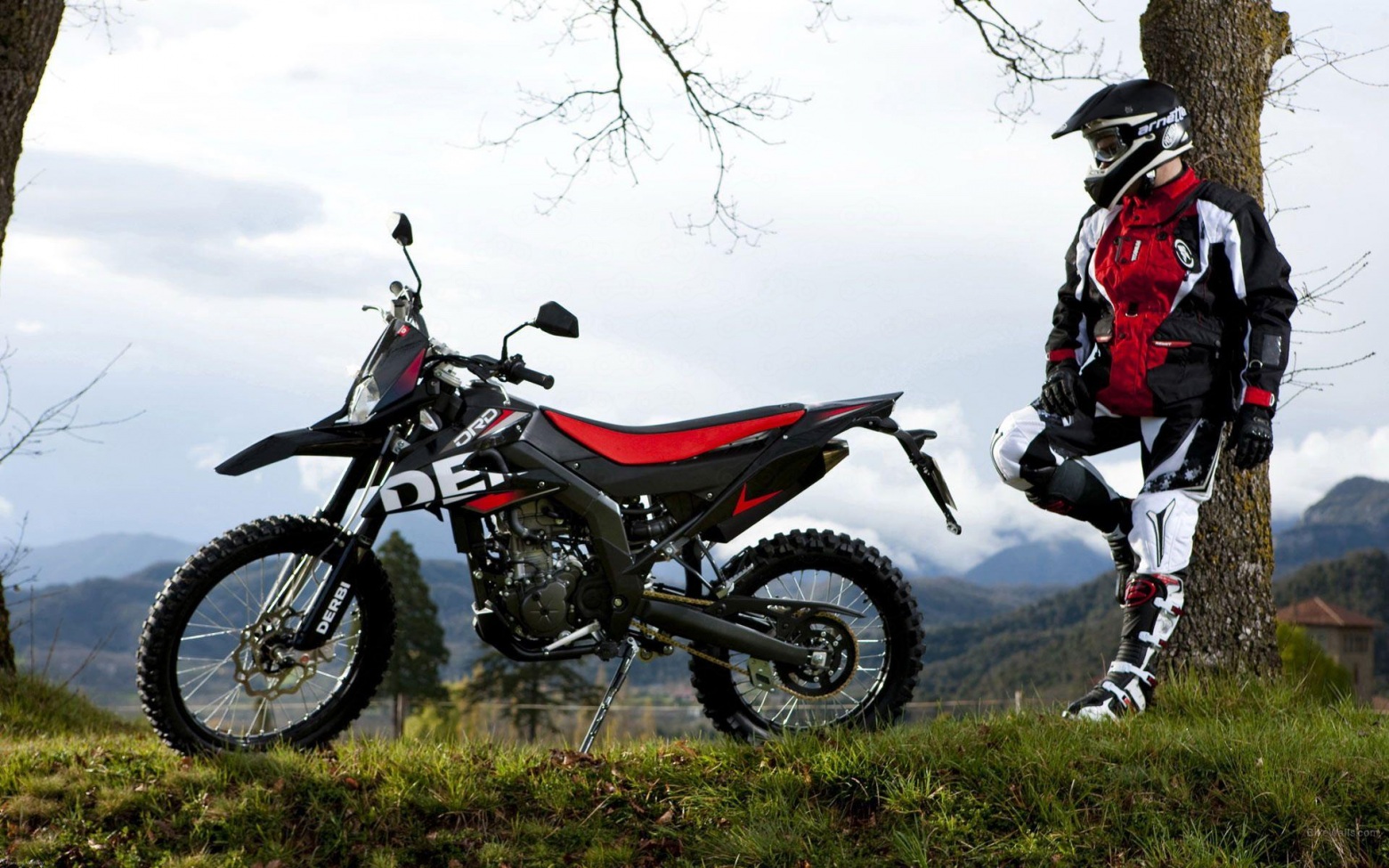 Говорят, красные кетайсы очень крутые...