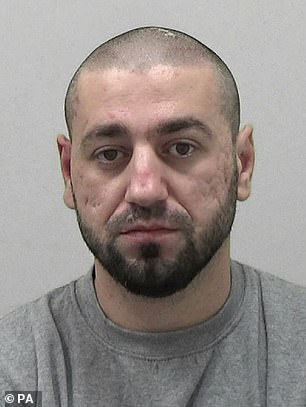 Михай Денисоае