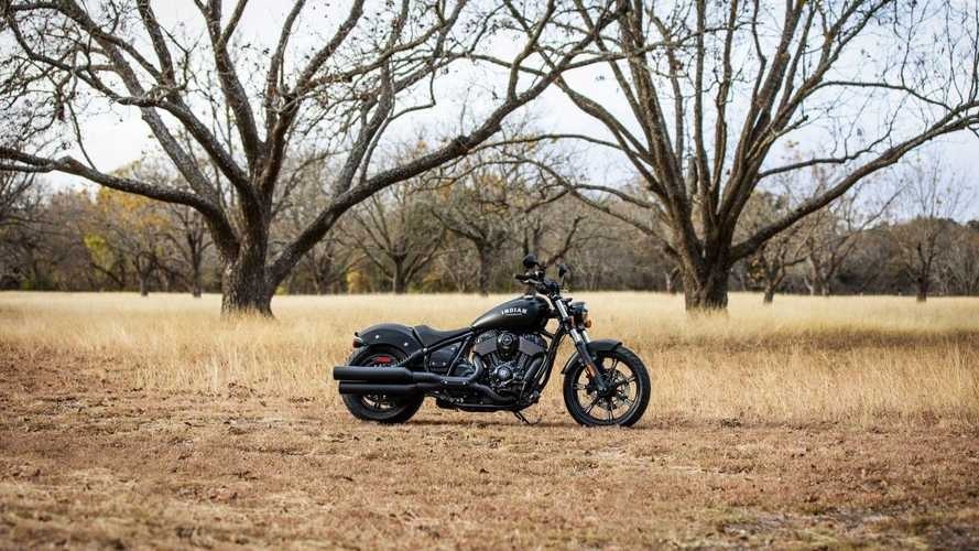 Indian Chief Dark Horse
