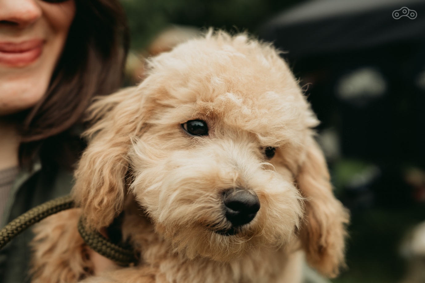 Countryside Custom Ride 2020