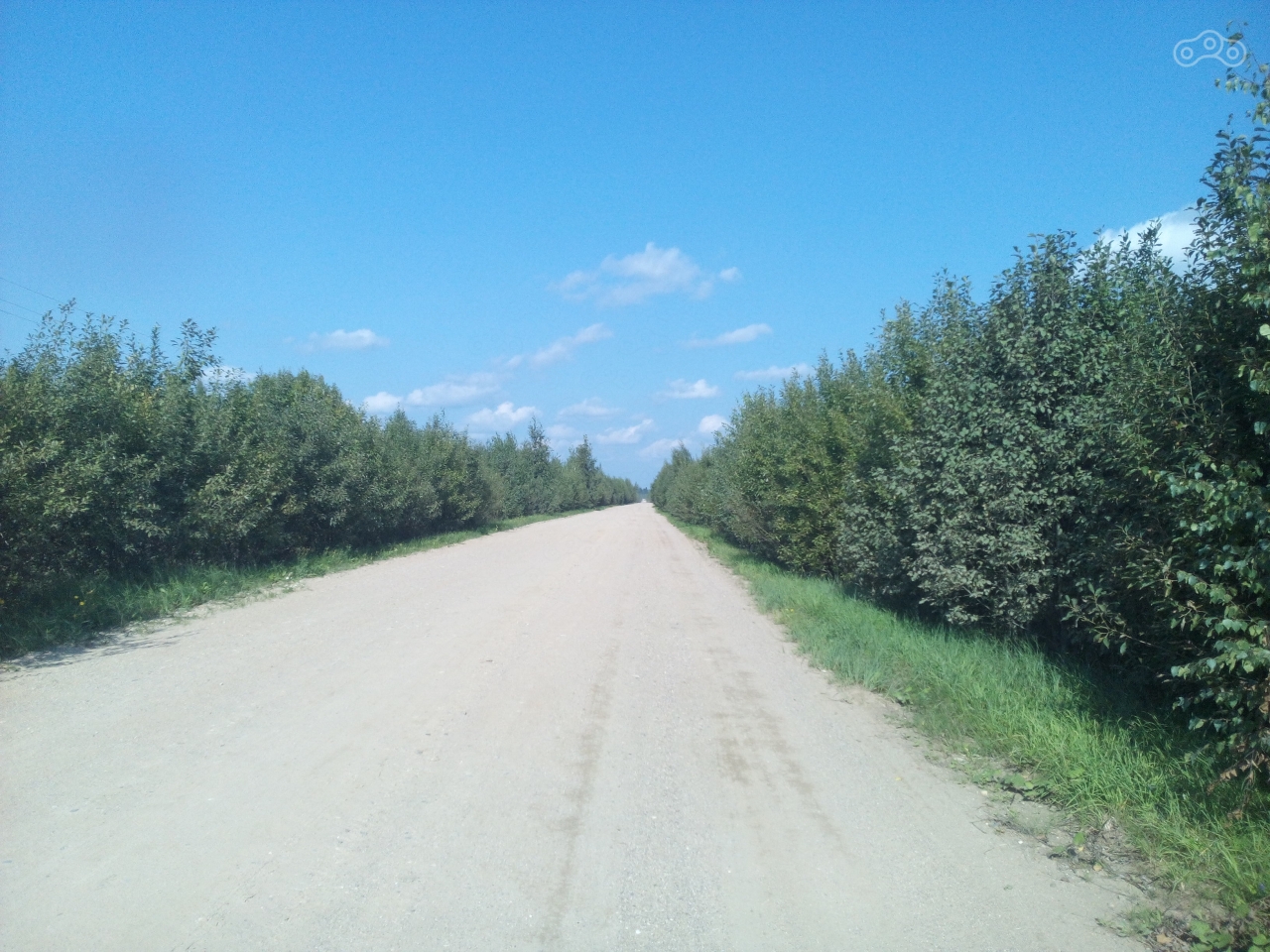 дорога на Андреевское