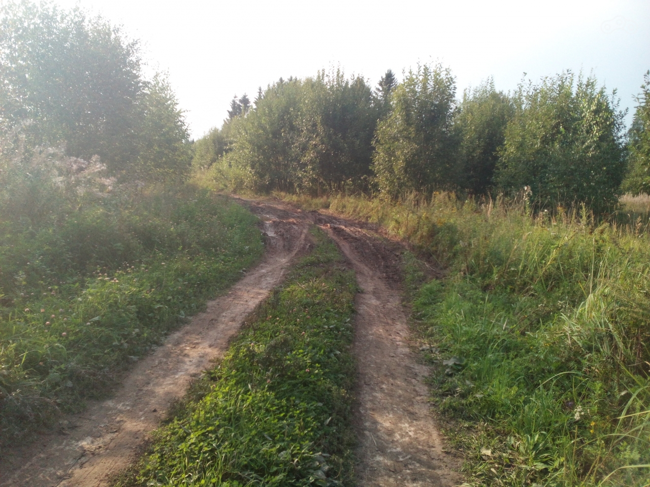 либо князь либо лицом в грязь