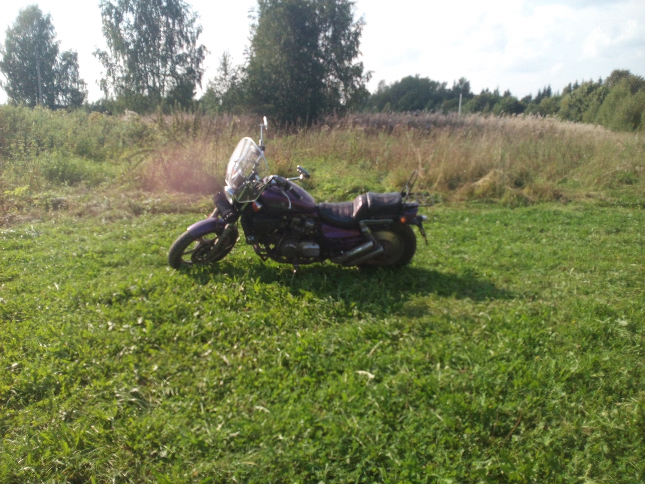 за бугром огромный пруд с карасями