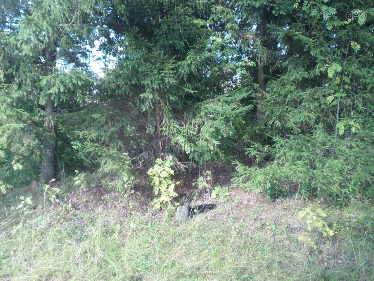 лавочка, тайный вход в штаб