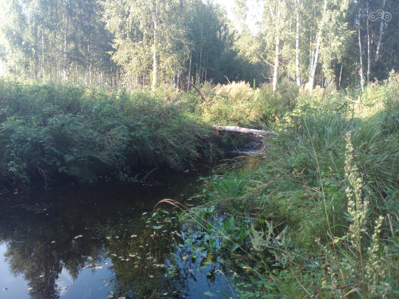 перелив в канаву