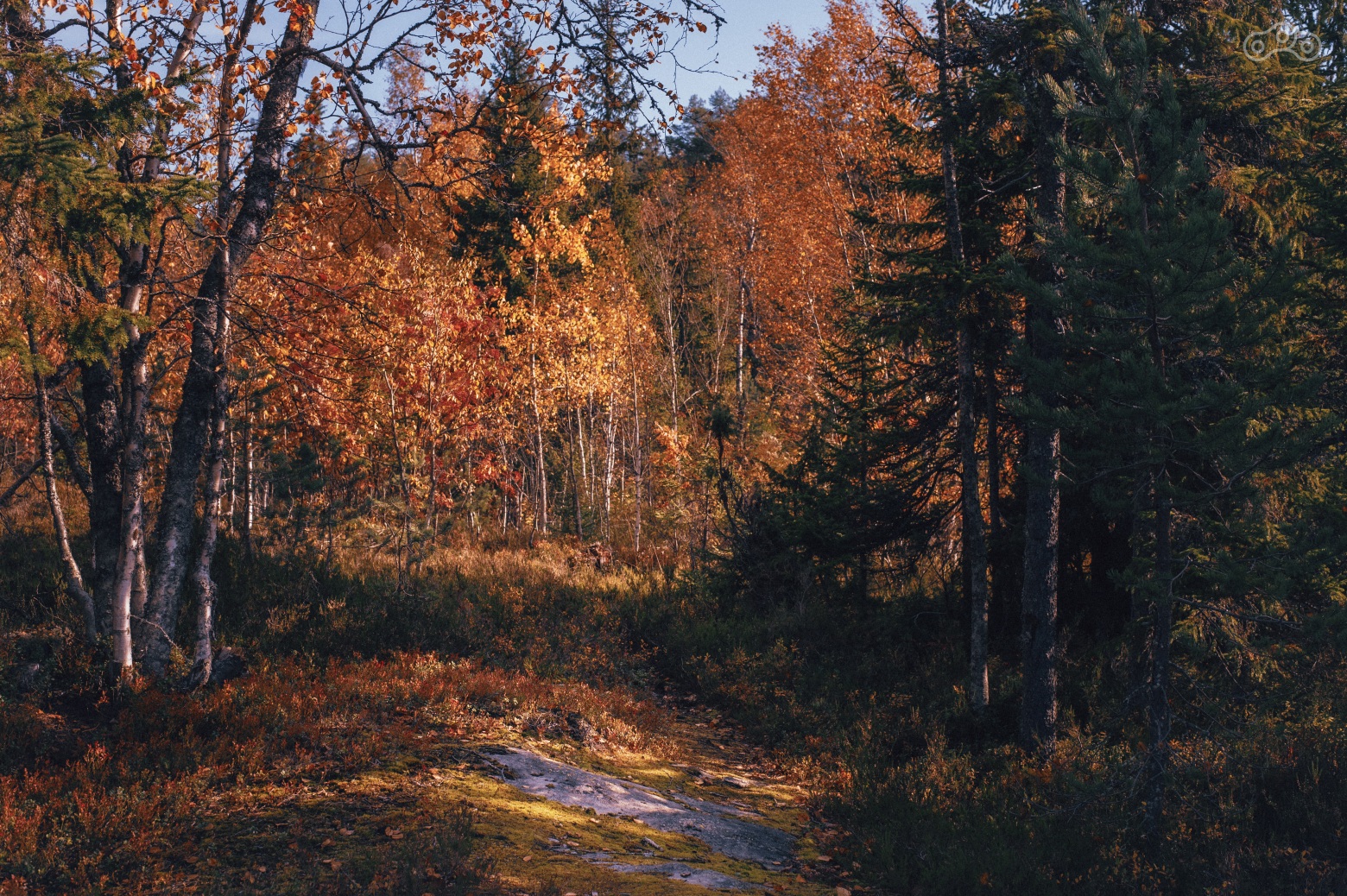Тут уже впереди — тропа, все не так очевидно