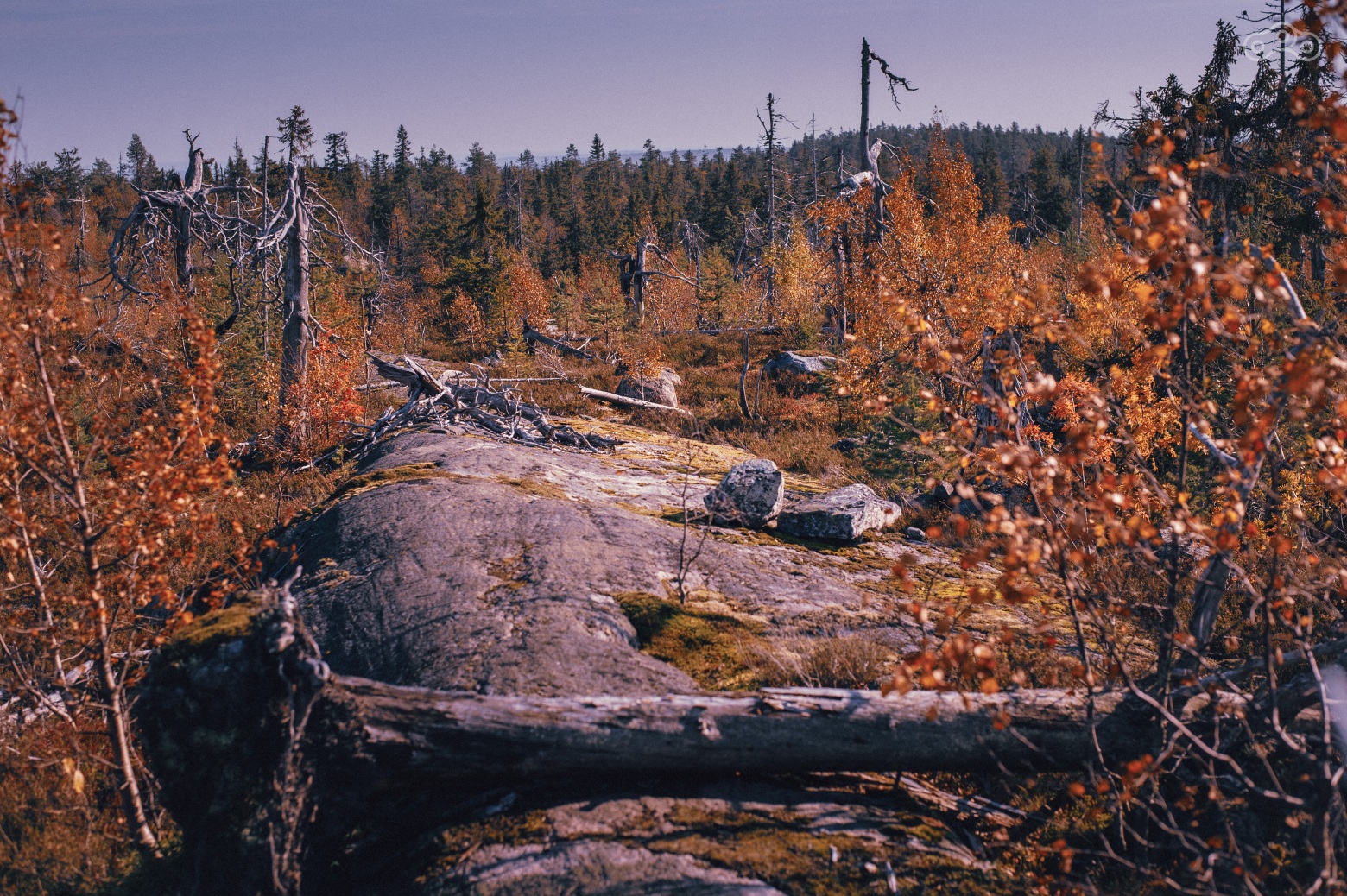 Подъём, подъём, поъём и вдруг — плато и все плоское.