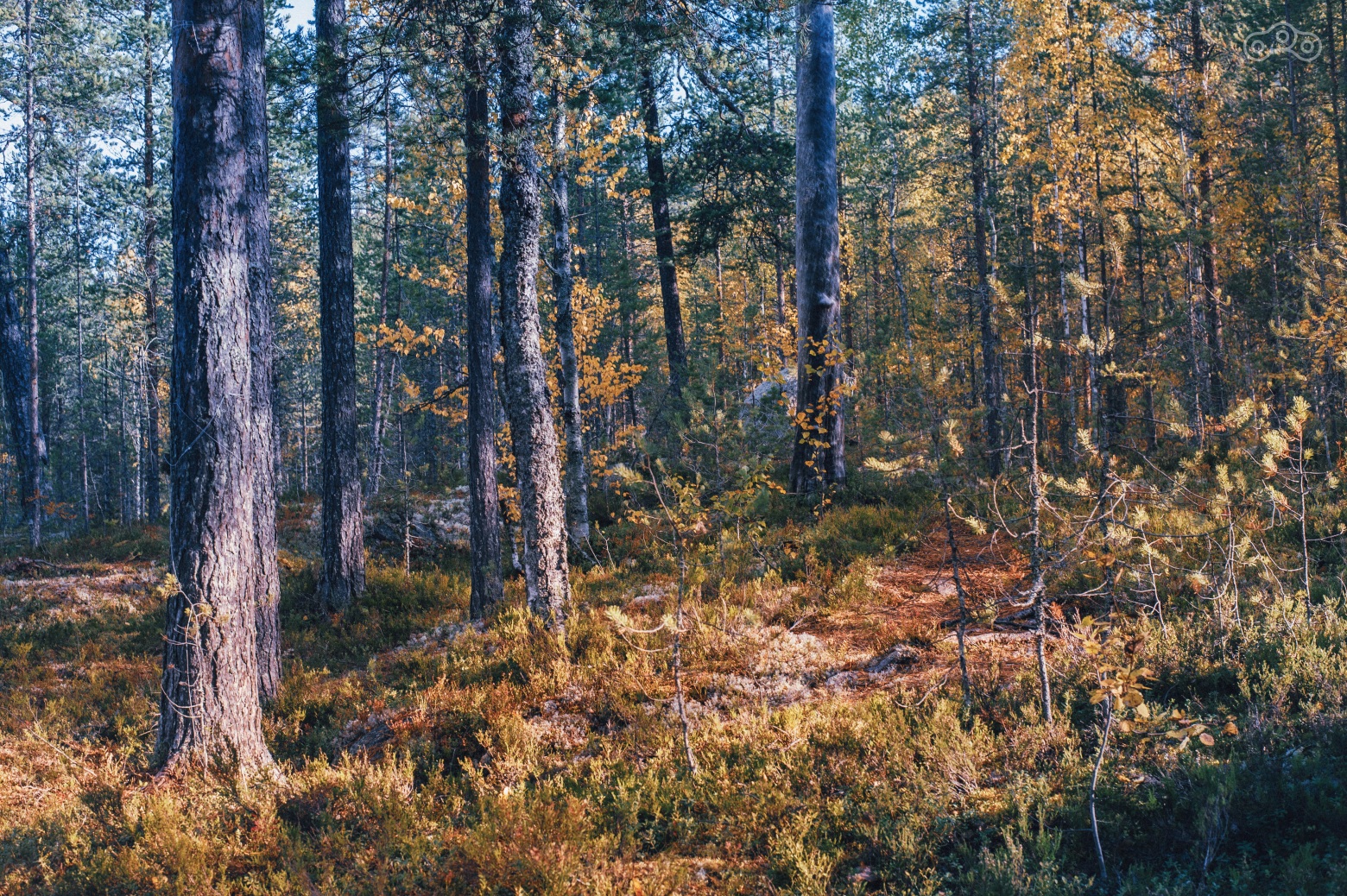 В темноте сложно всё рассмотреть было, но утром — вахххх....