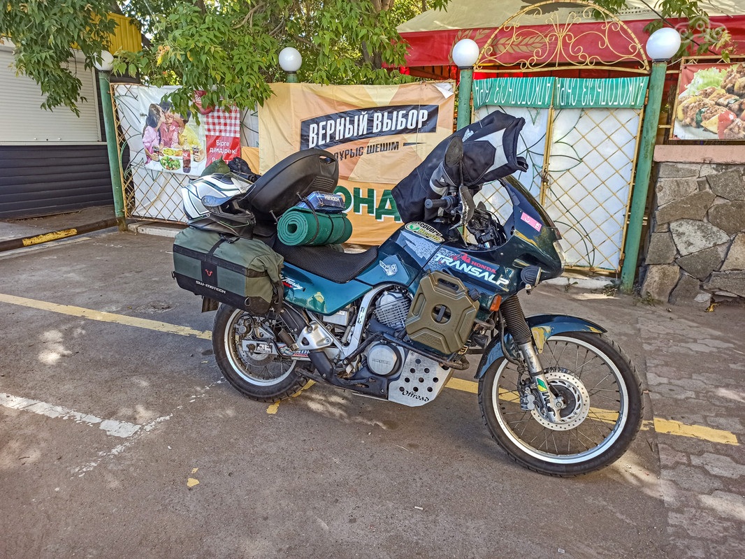 Действительно «Верный выбор»