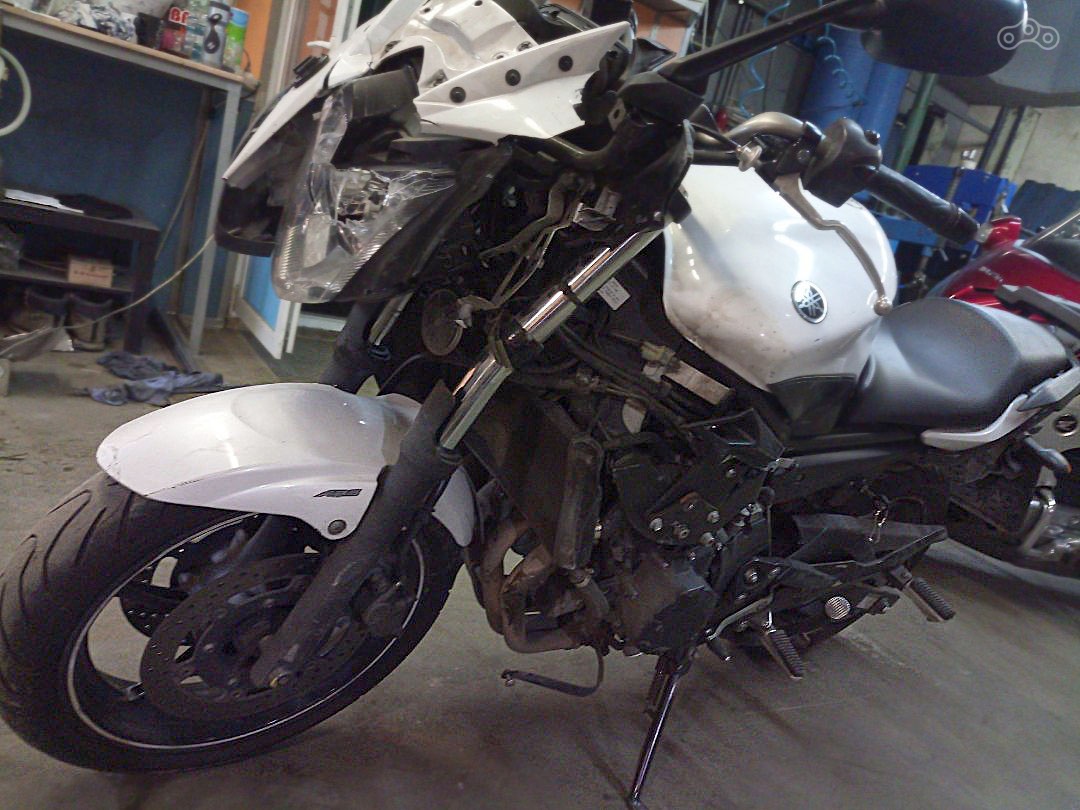 Вся морда, но диск, резина и тормоза вполне целы