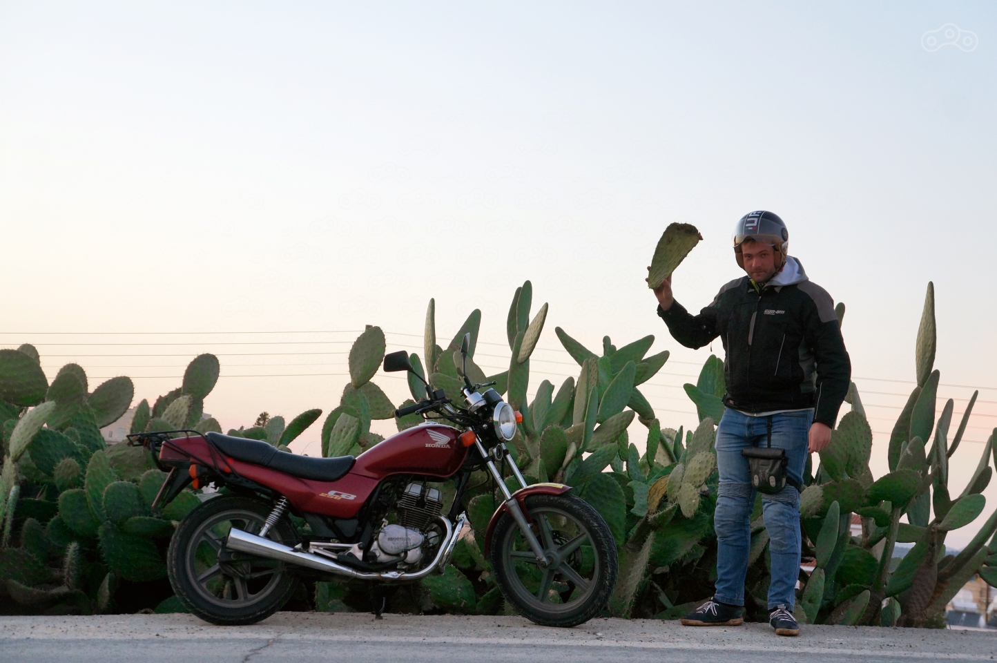 Думаете улететь в ёлки больно? Представьте, что случается с растяпами, врезающимися в кактусы!