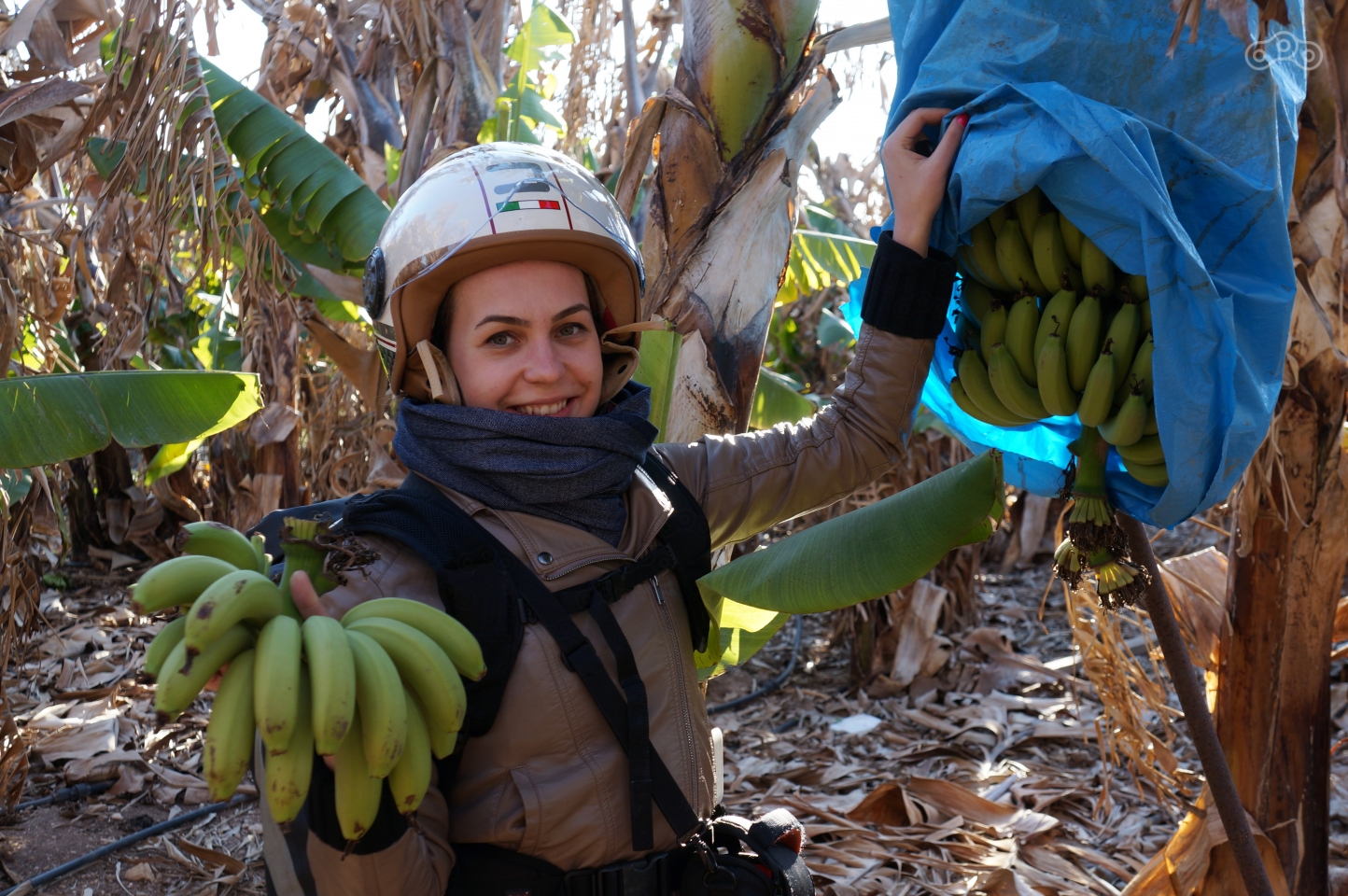 Никогда бы не подумал, что бананы в таких штабелях растут!