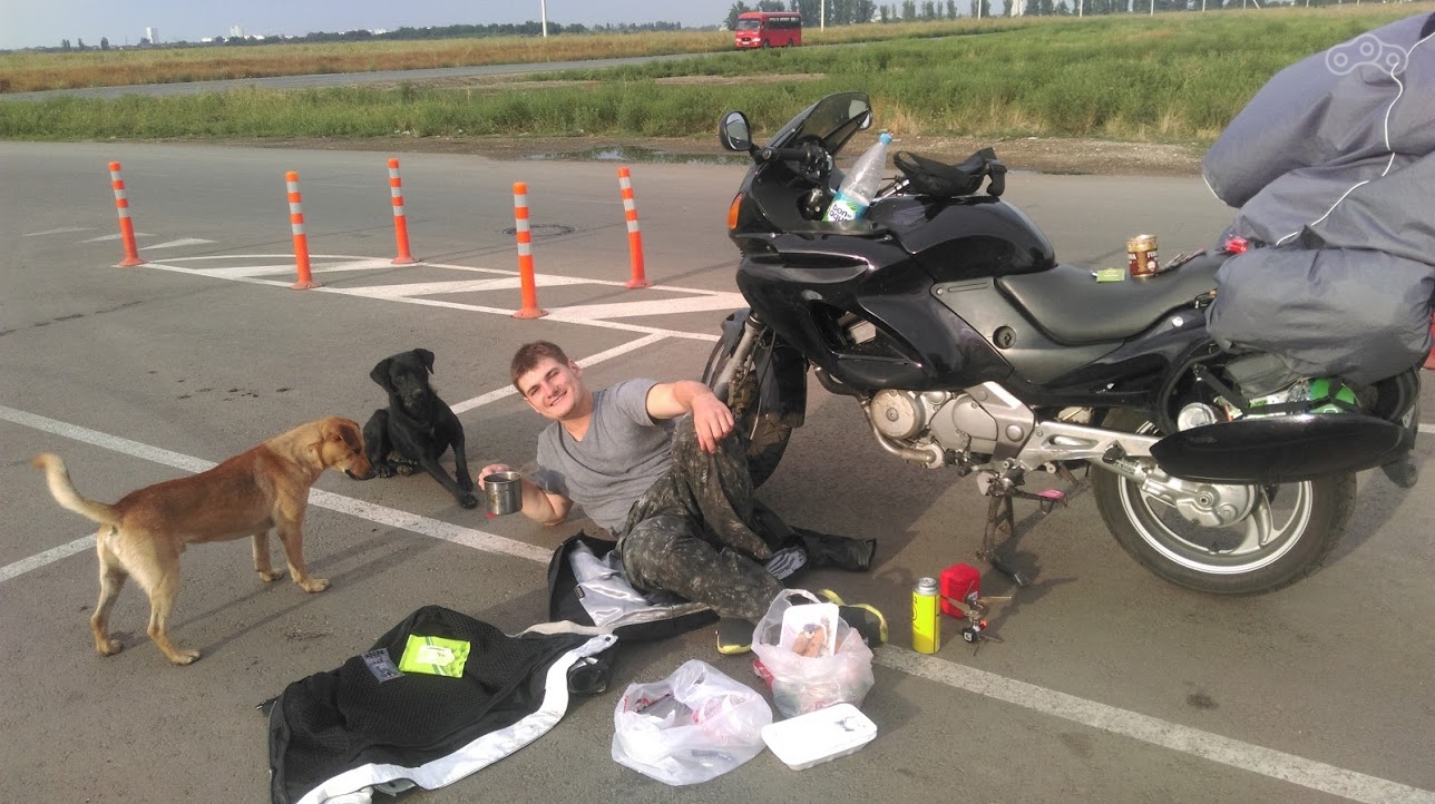 Краснодарские Жучки