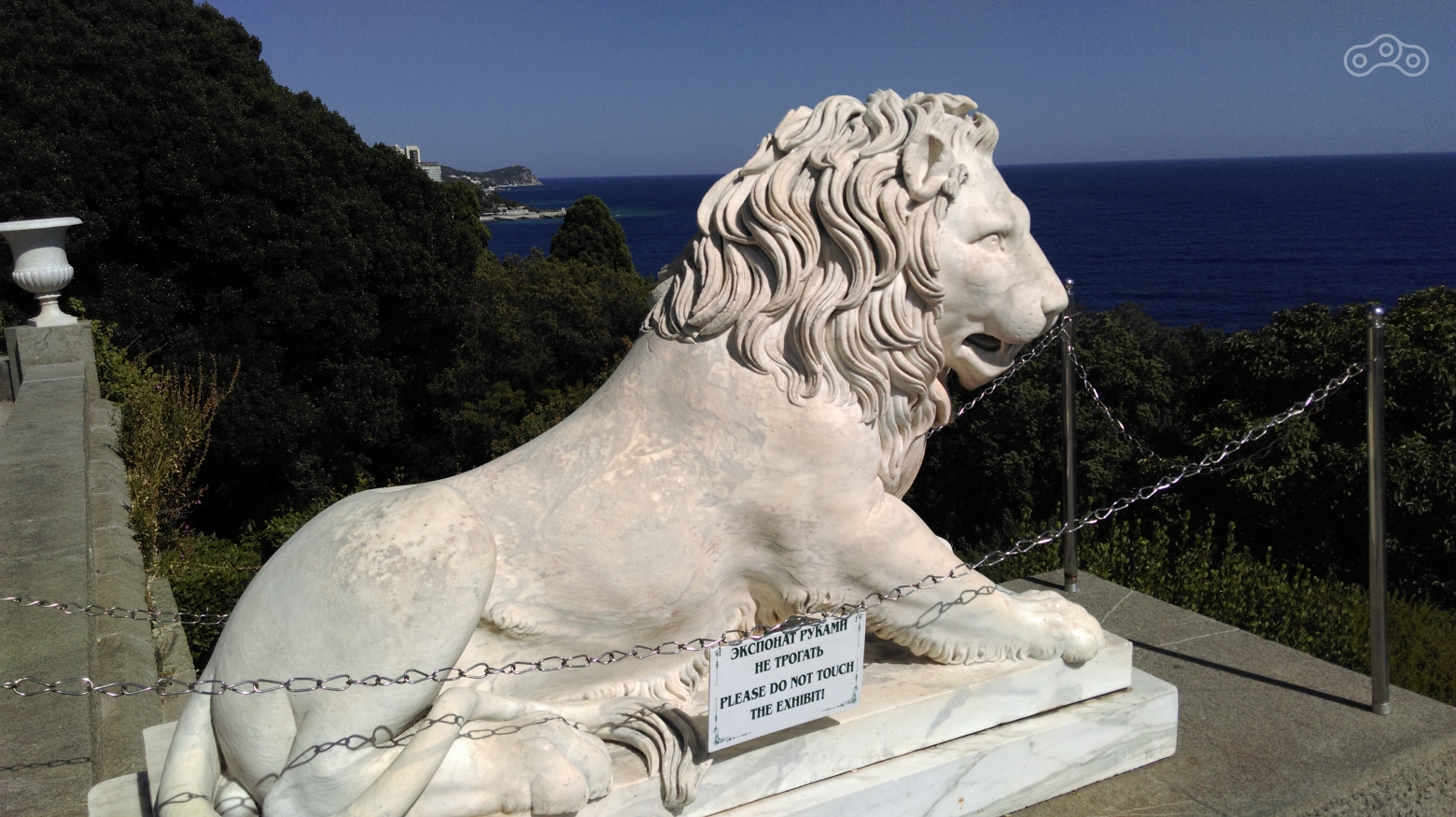 Лев бодрствует