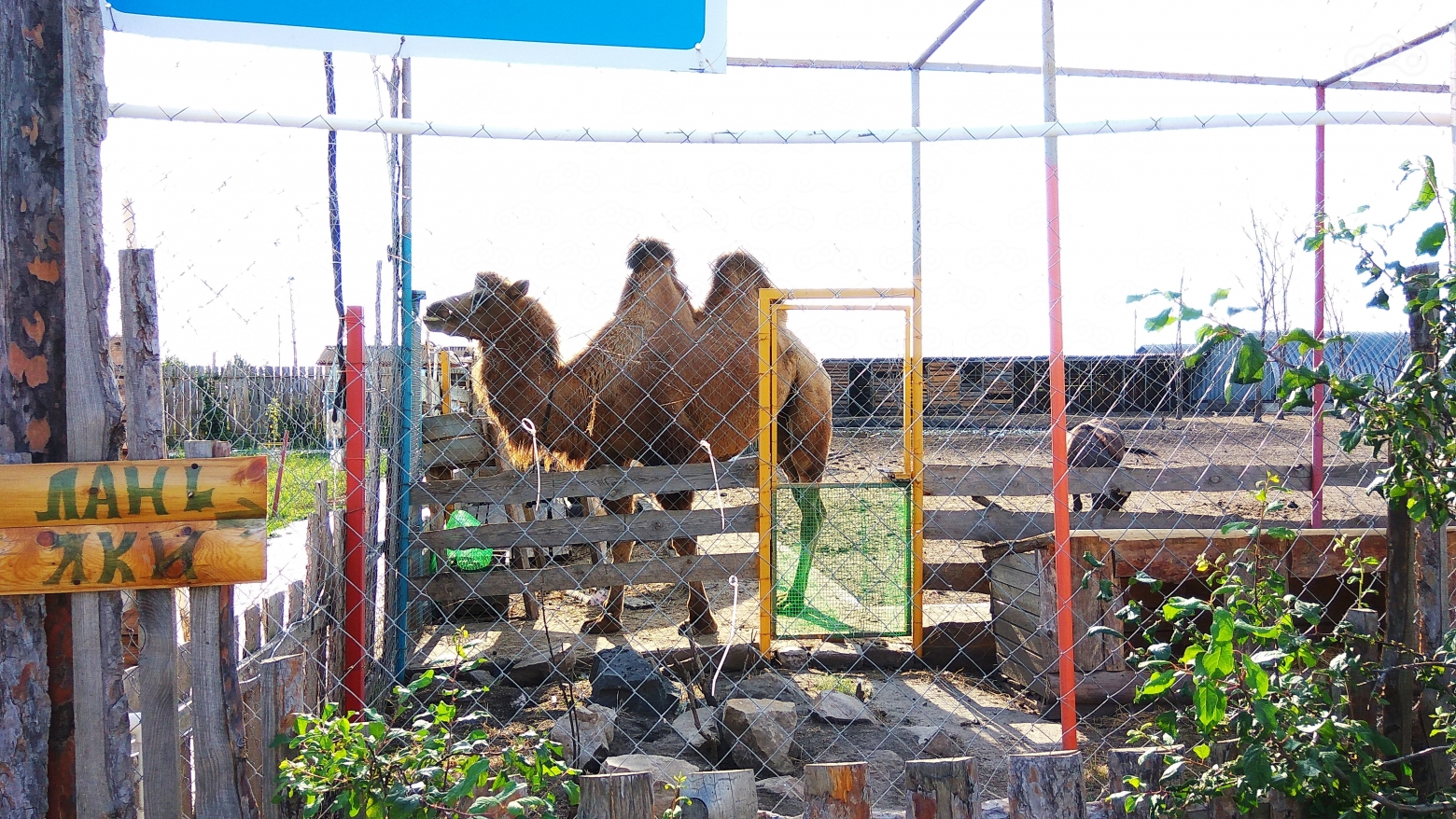 Зоосад. Воронеж