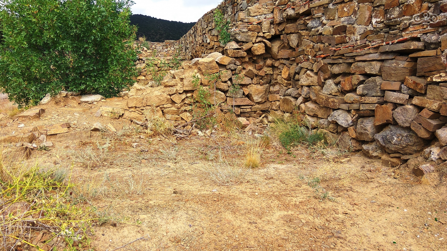 Развалины крепости Асандра. Веселое, Крым