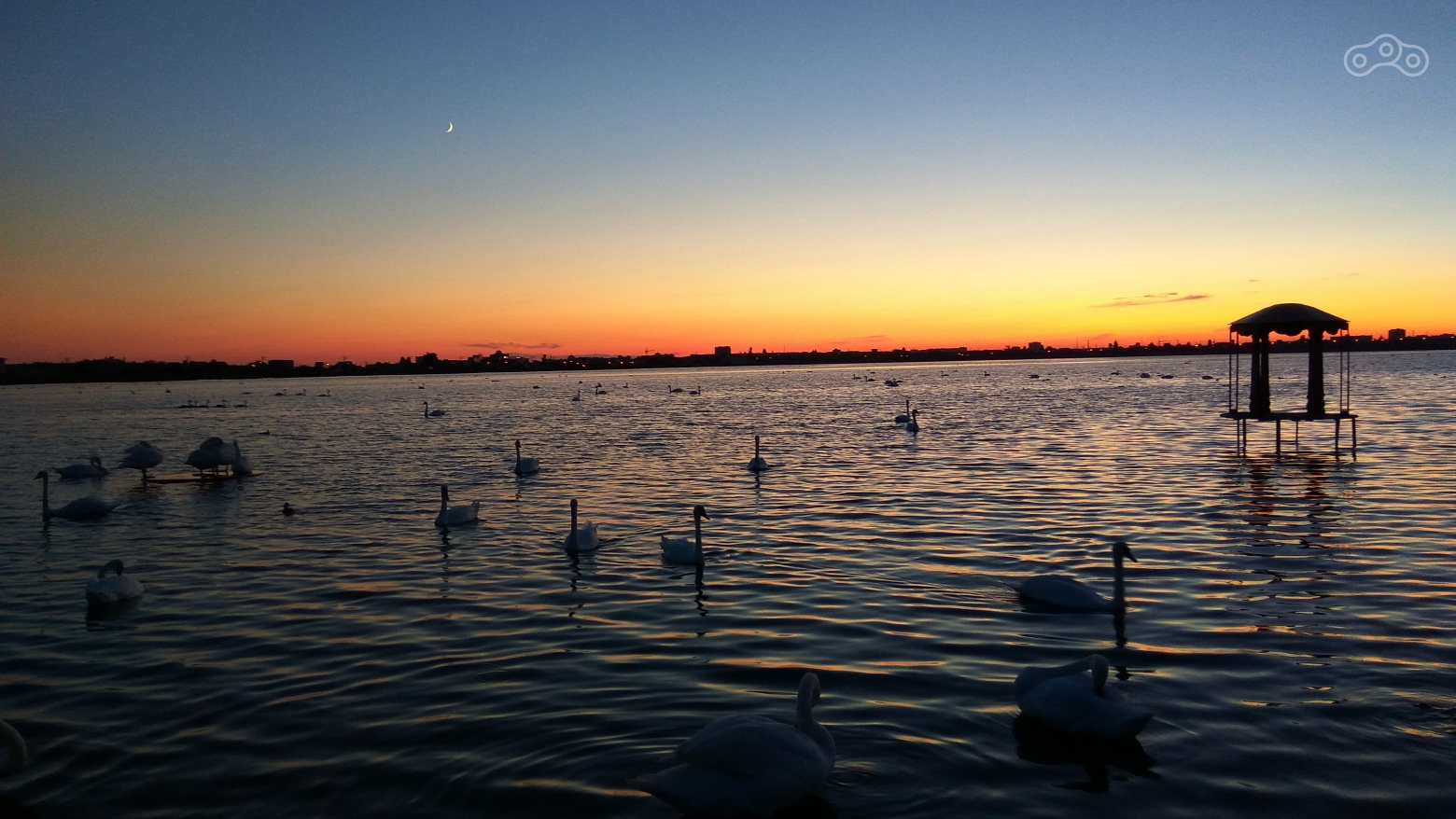 Лебяжий край. Озеро Сасык, Евпатория, Крым