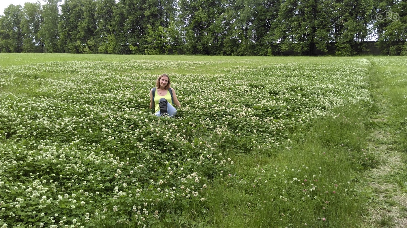 Усадьба Остафьево. Парк.