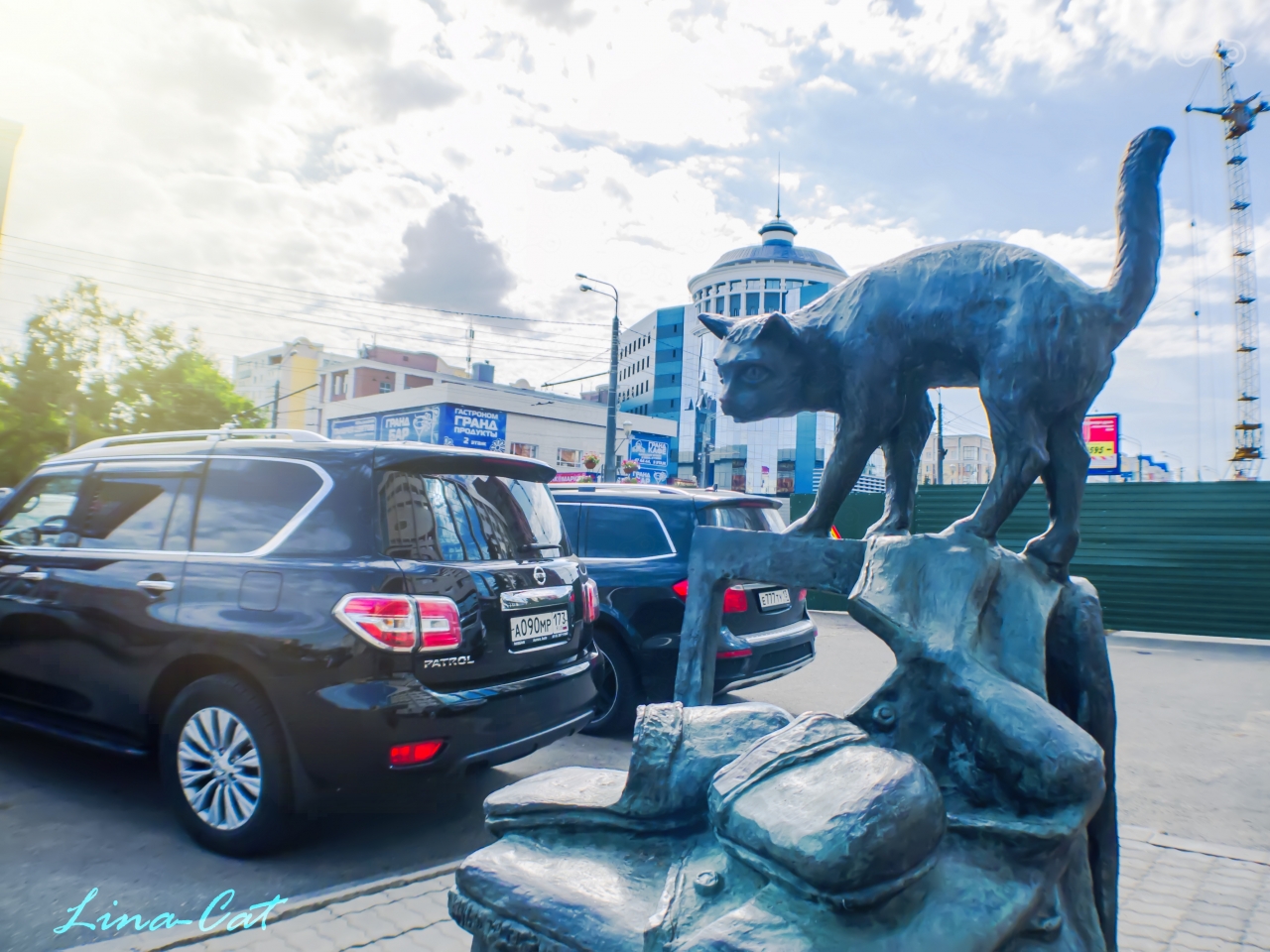 Кот из Саранска