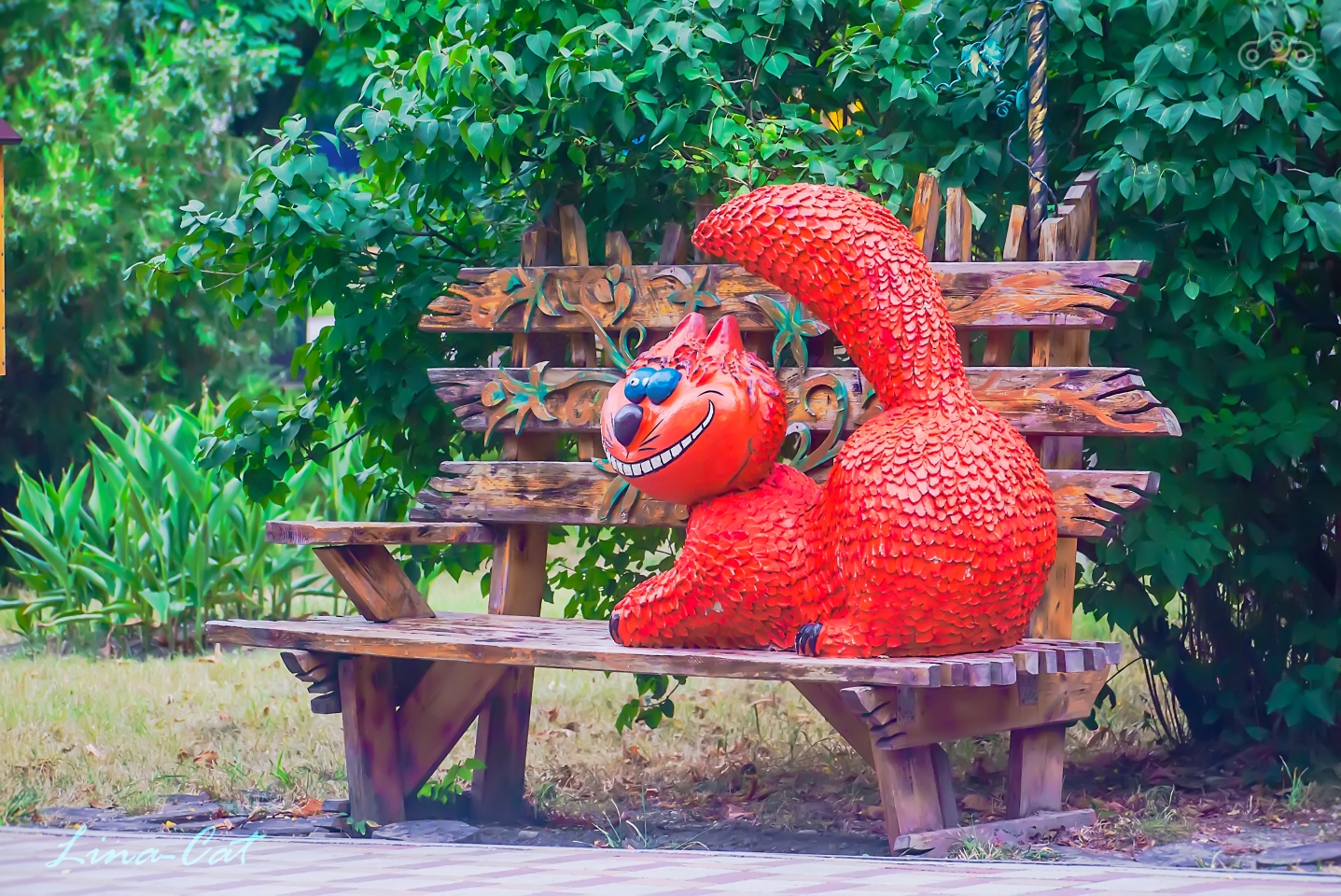 Кот из Новороссийска