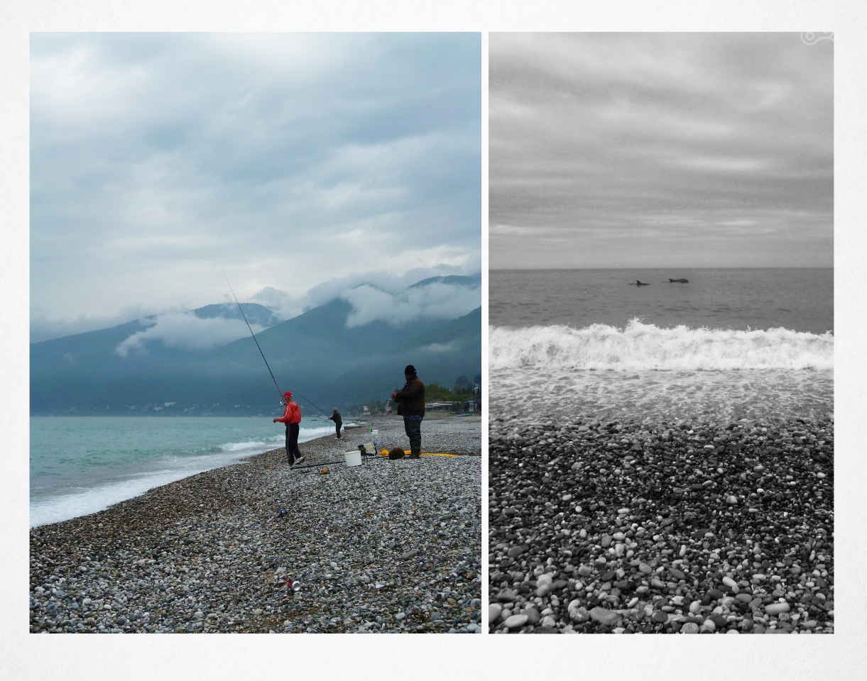 Местные рыбаки очень не любят дельфинов, они распугивают всю рыбу.