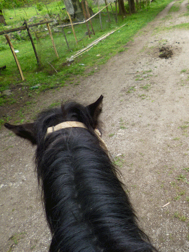 Покатался на лошадке