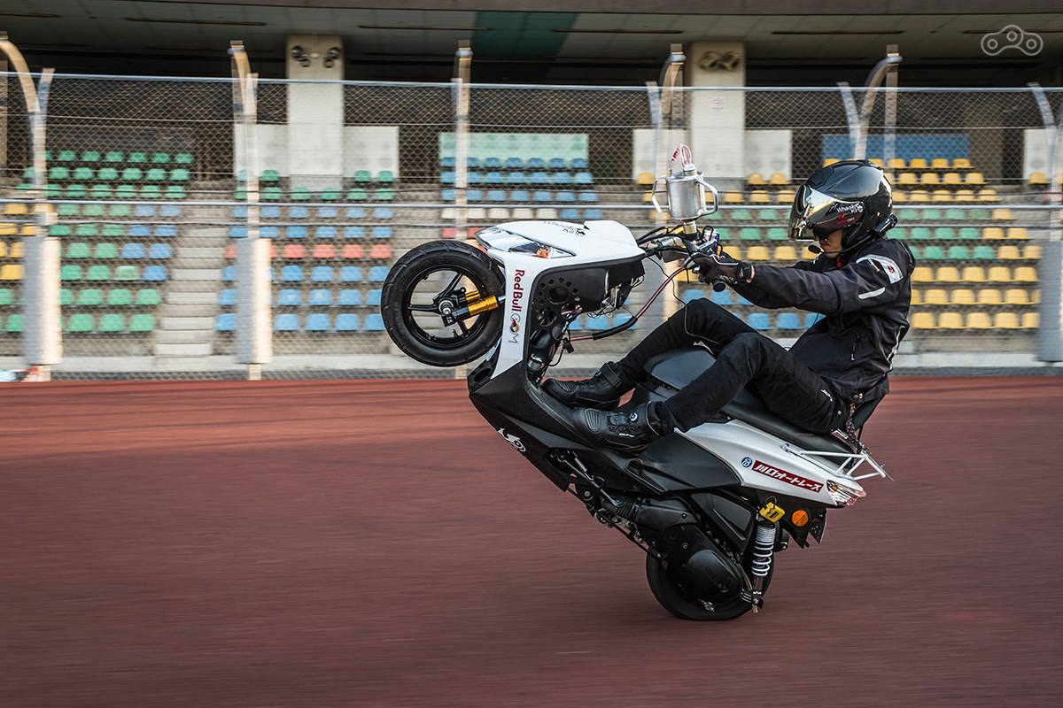 Самое длинное вилли