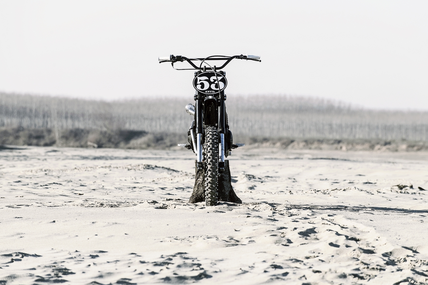 Ducati Scrambler R/T Motor Bike Expo 2017