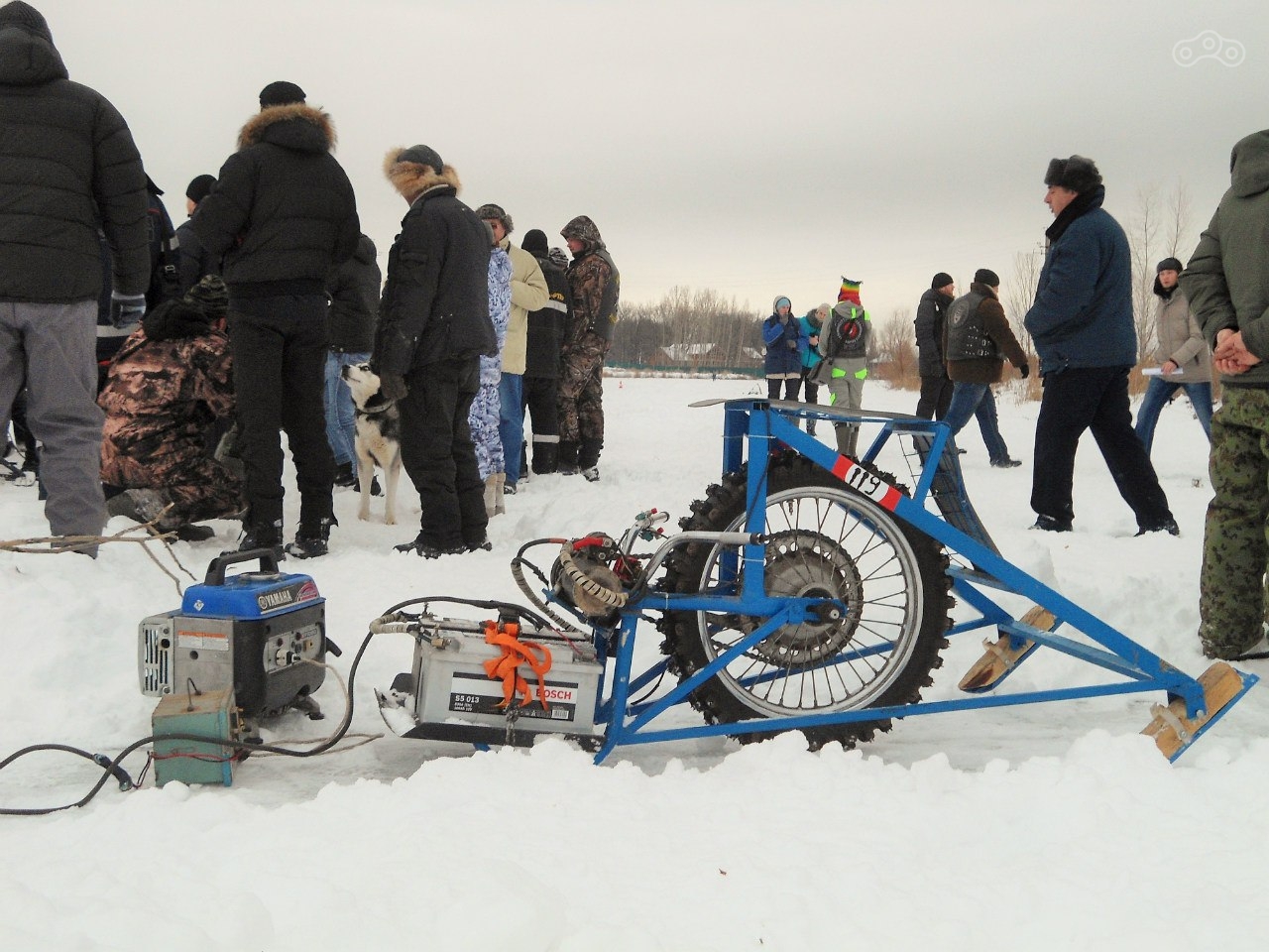 Фотографии с фестиваля Snowdogs 2017