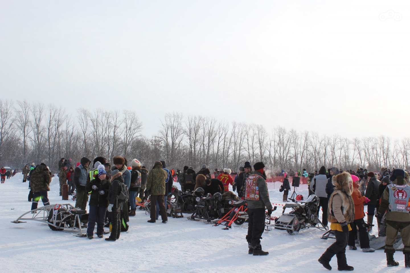 Фотографии с фестиваля Сноудогс 2017