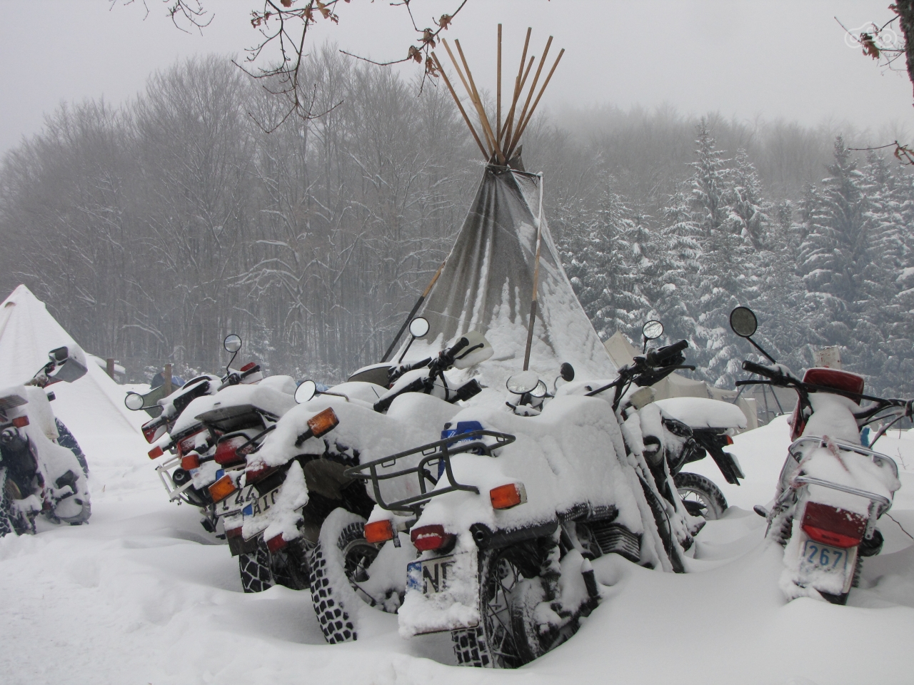 Безмятежность субботнего утра на Elephant Rally 2010. Фото – mapio.net