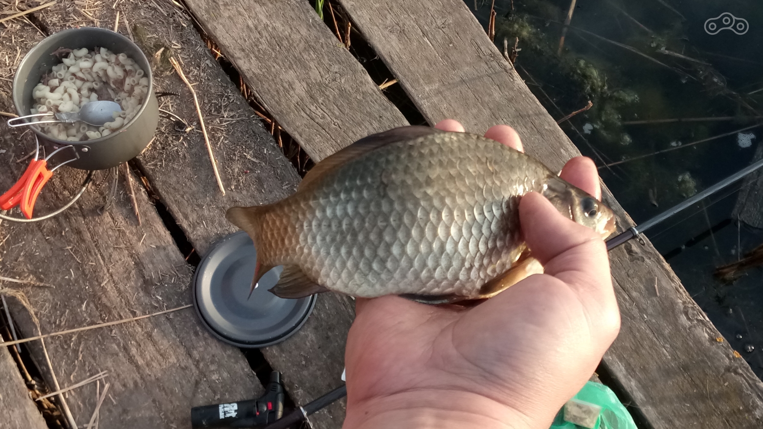 Порыбачил в удовольствие.