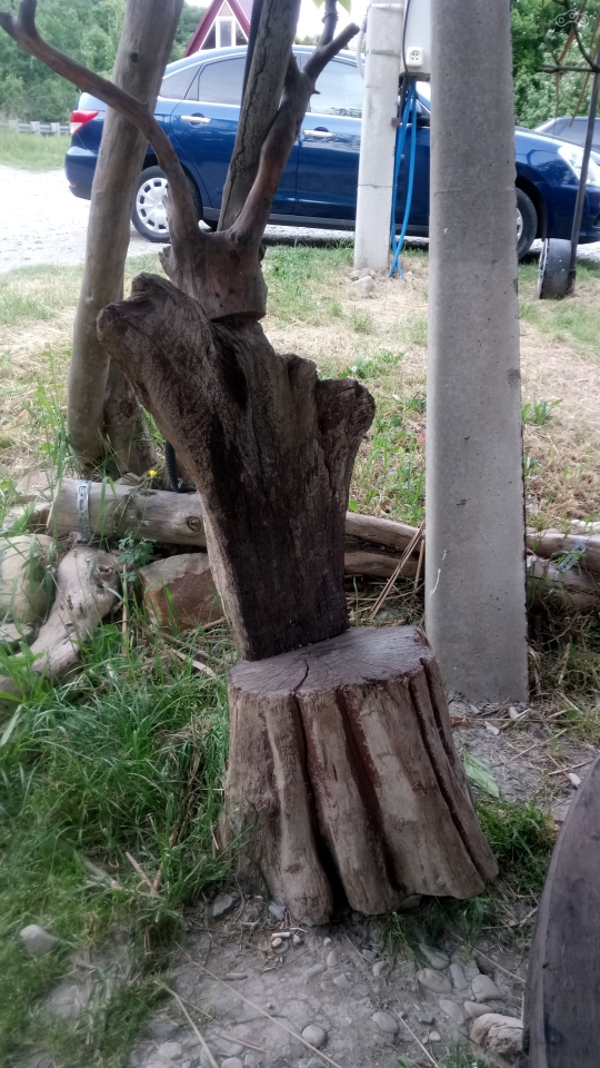 Мой трон на сегодня.