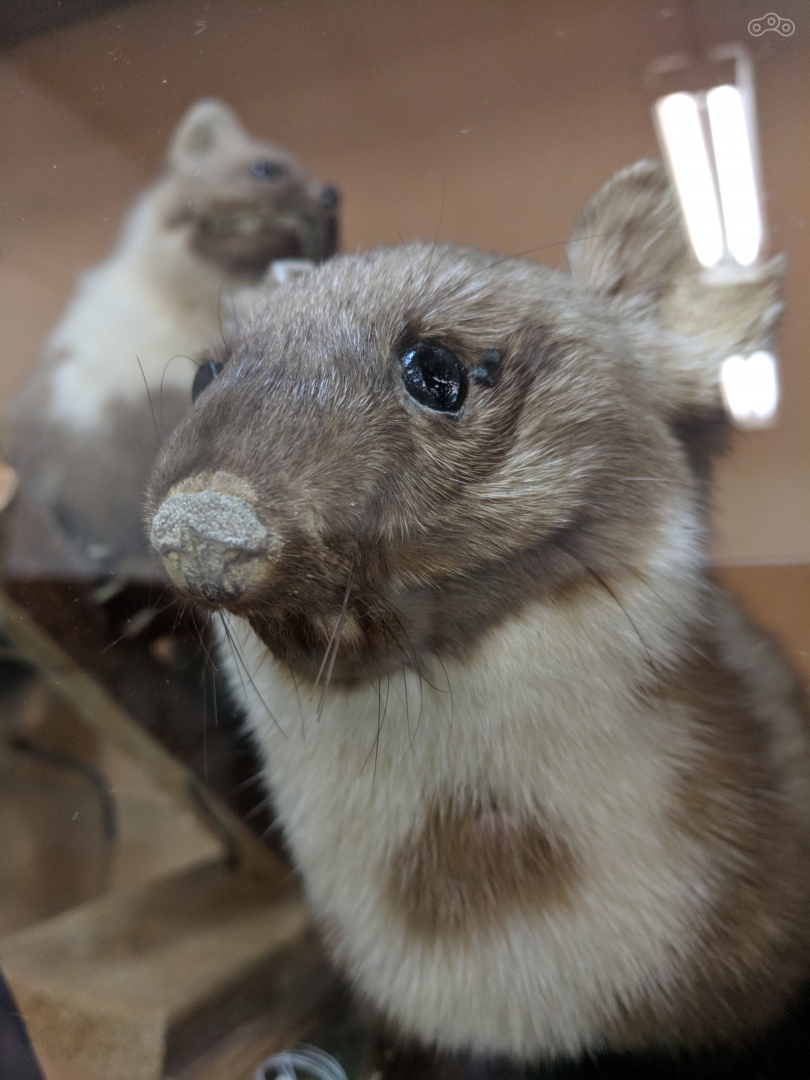 А этому просто хорошо. Он рад