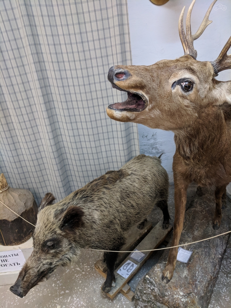 "Уберите отсюда это животное!" "Олег, ты уже надоел"