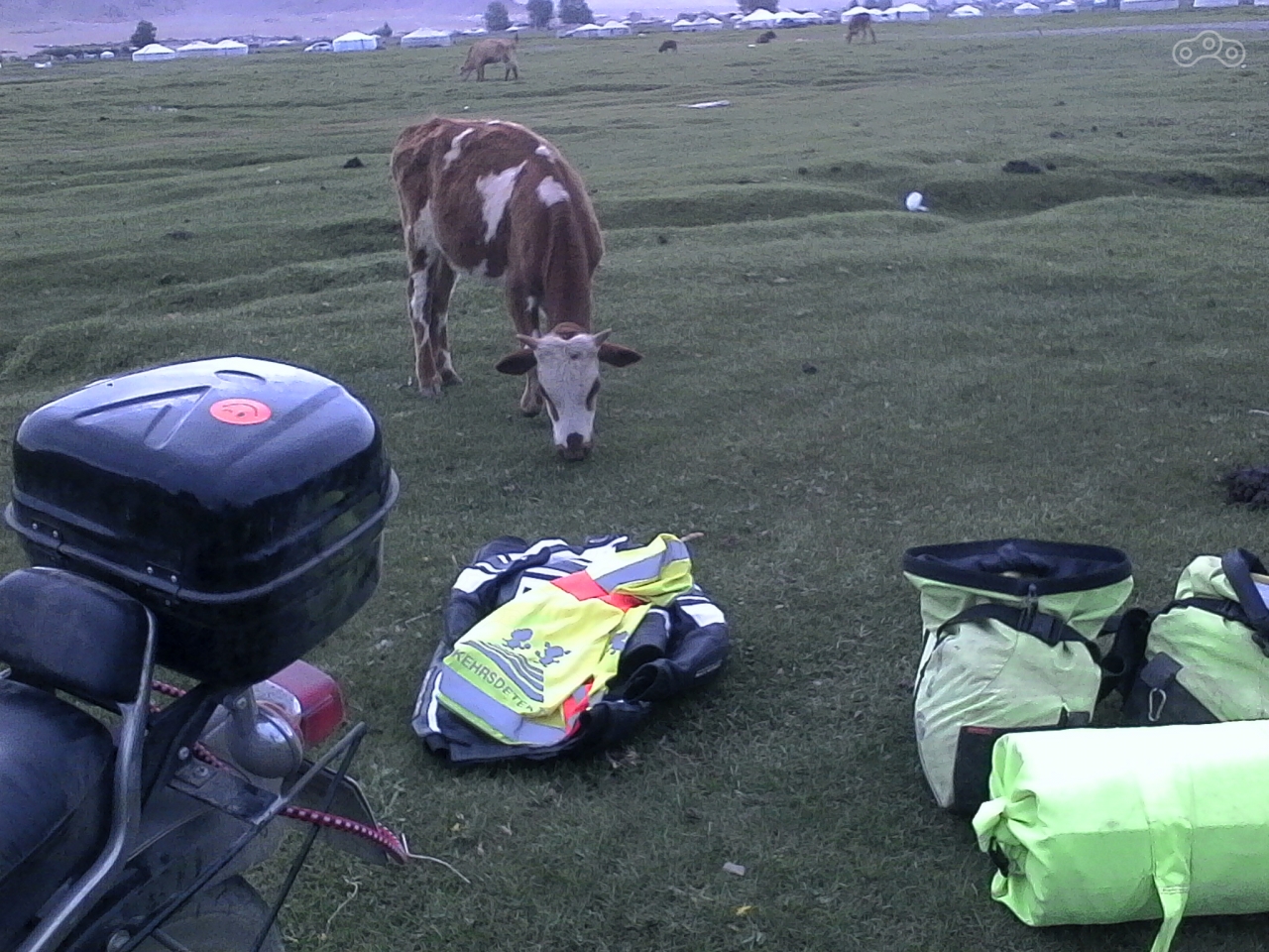 Интересовались мной не только люди.