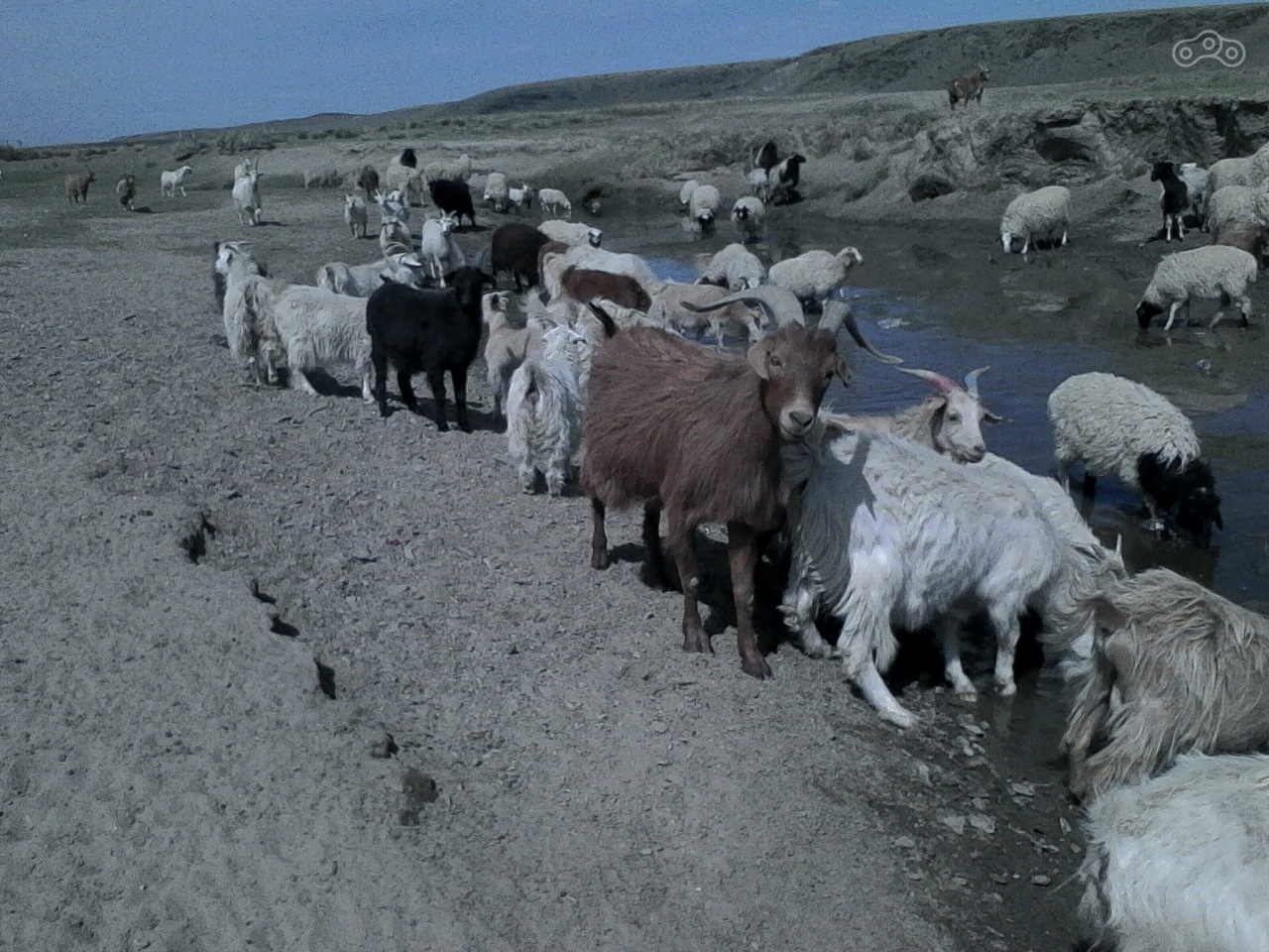 Разрешите пройти, пожалуйста.