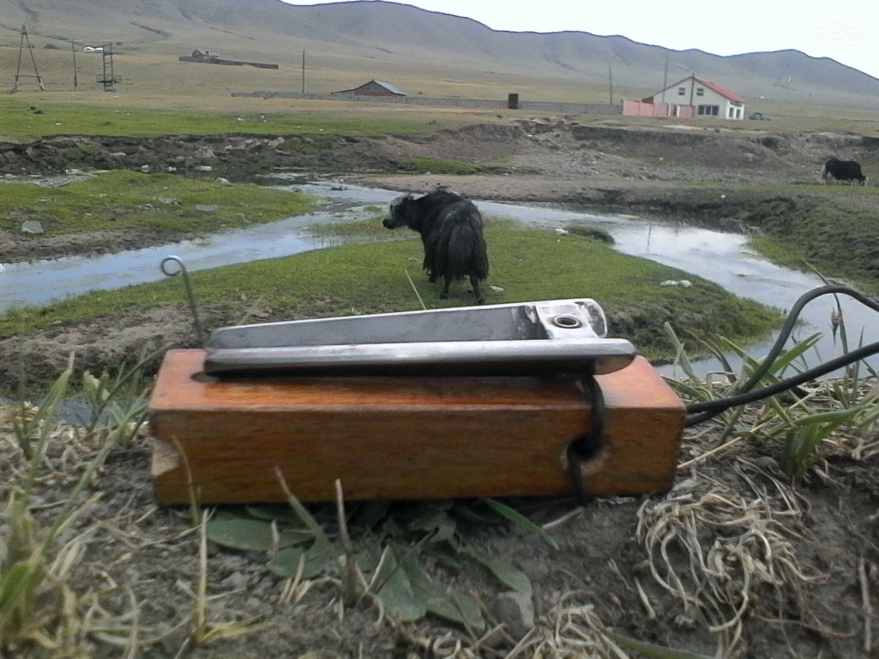 Мои внимательные слушатели.