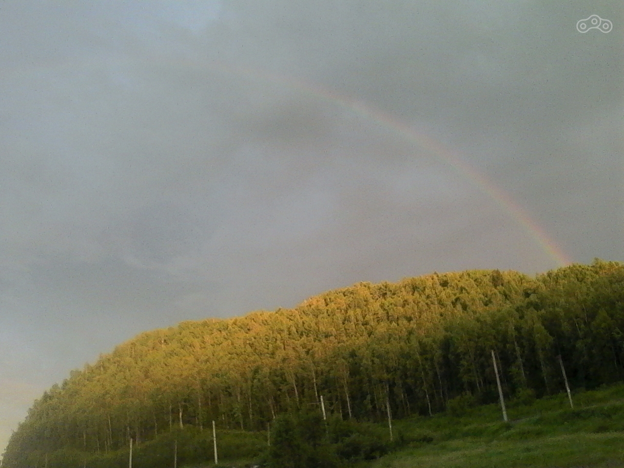 После дождя.