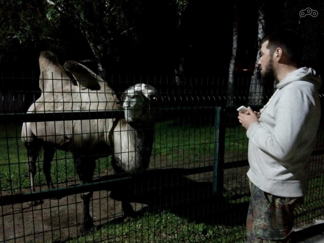 ВСЕ ЕЩЕ ТАМ ЖЕ