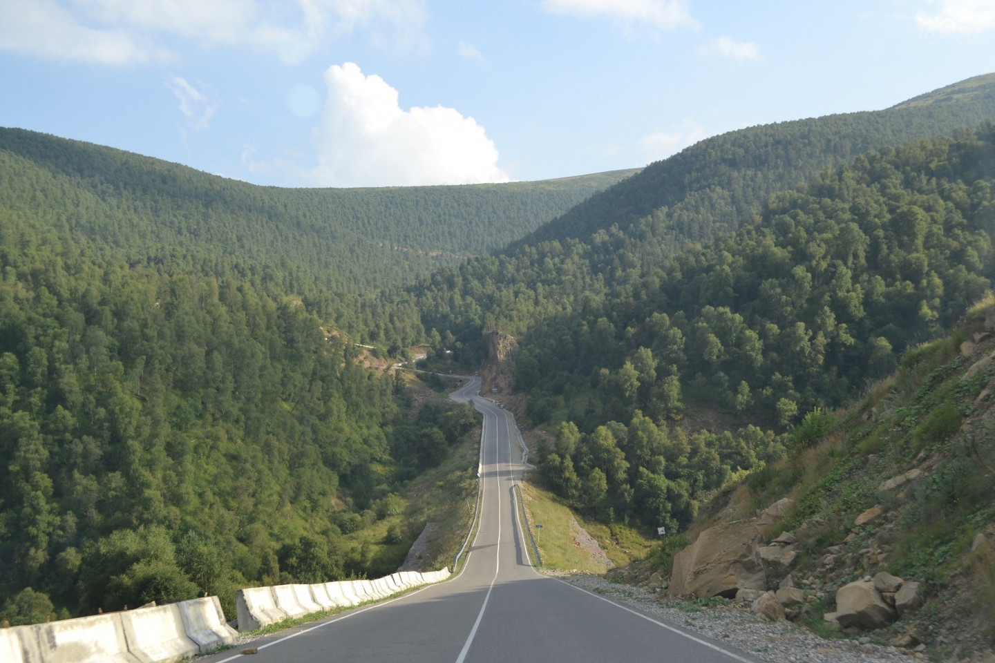 серпантин, горы, лес