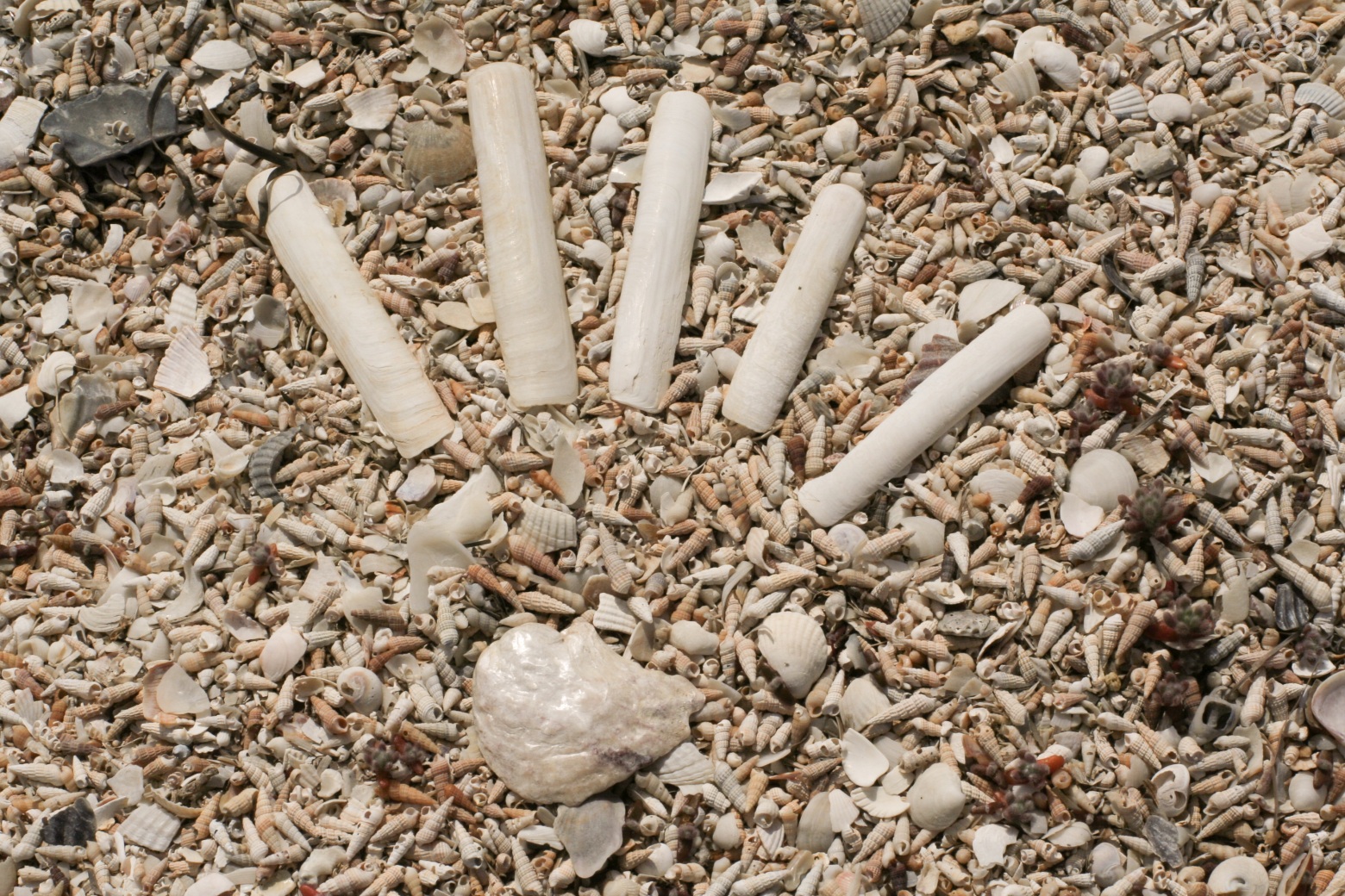 привет из Крыма