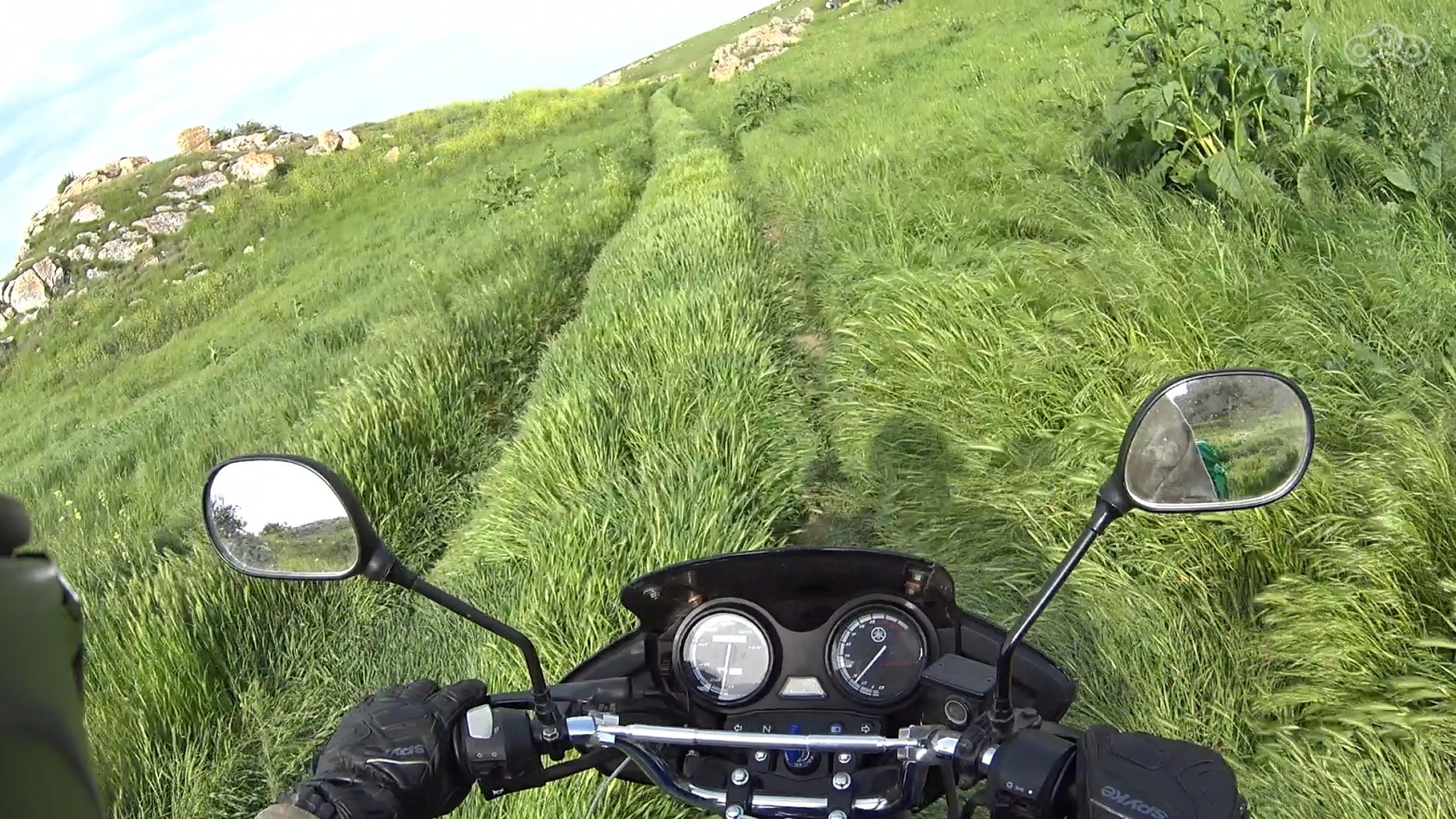 там, где раньше волки срали, мы проложим магистрали