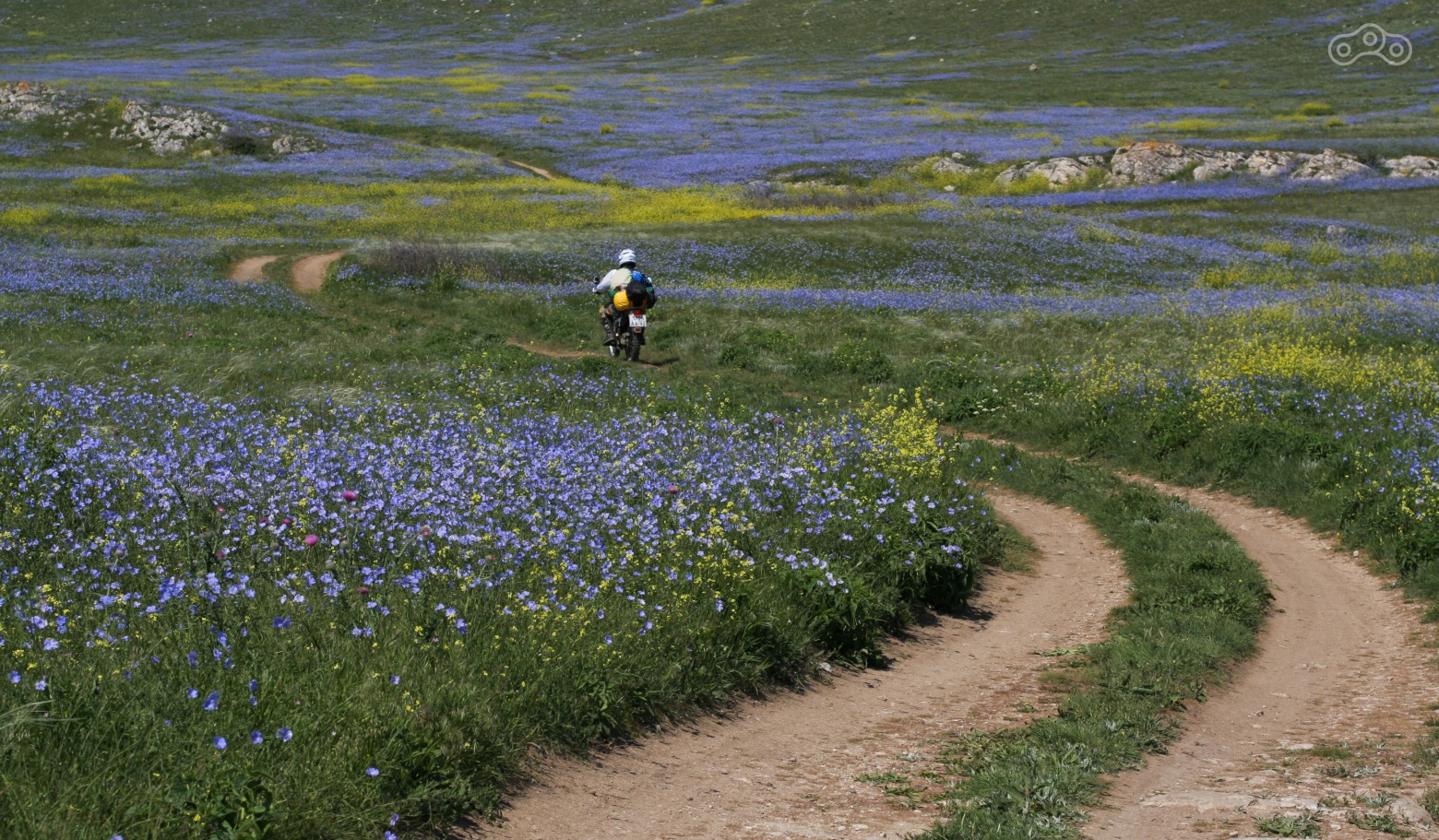 дорога живописная