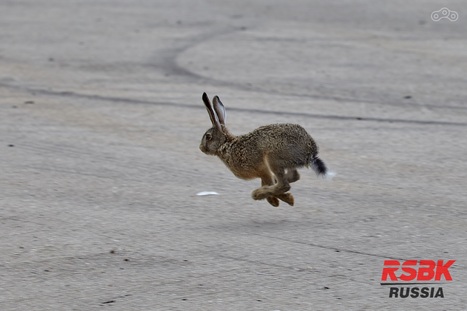 Быстрейший гонщик этапа :)